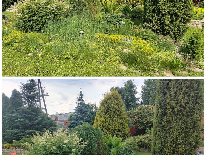 Прополка запущенной альпийской горки