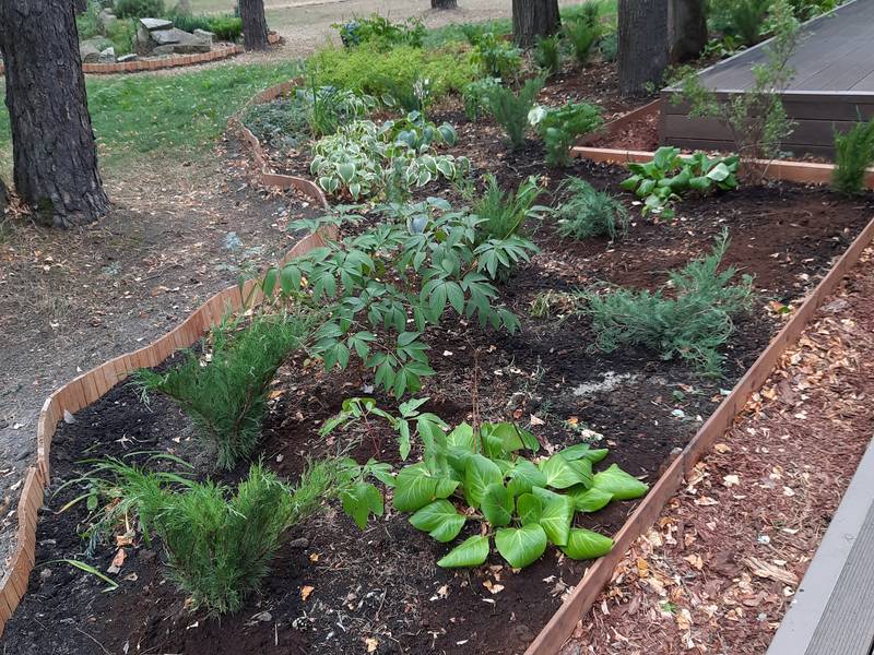 Реконструкция цветника